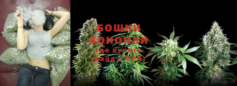 наркошоп  Кирсанов  МАРИХУАНА SATIVA & INDICA 